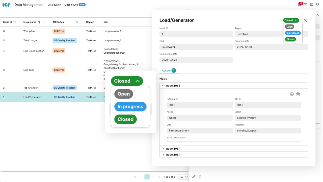 envelio-data-management-en-4-data-issues-overview-details